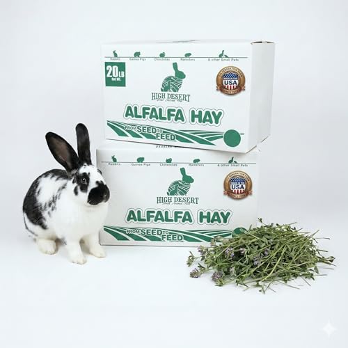 Alfalfa Hay Protein Rich Soft Leaf Food for Young Growing Animals (10 Pound (Pack of 2))