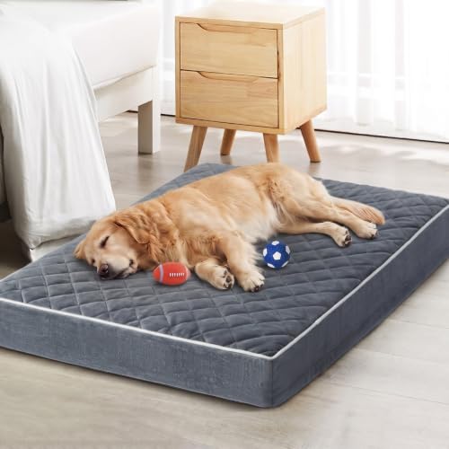 Orthopedic Giant Human Dog Beds for Adult & Dog Cozy Sleep (Grey / 61"L x 43"W x 4"Th)