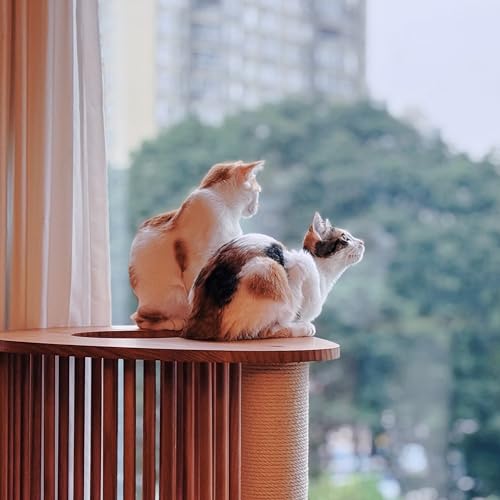Cat Tree 36.4" Solid Wood Multi (L23.6"xW23.6"xH36.4")