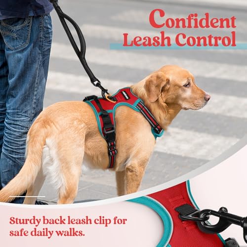 Dog Harness No Pull for Large Dogs with 2 Leash Clips (Large / Red & Teal)