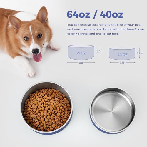 Dog Bowl Stainless Steel Food and Water Bowl (64 oz / Blue)
