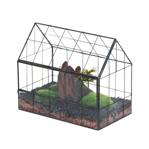 Geometric Glass Terrarium with Front Opening Door