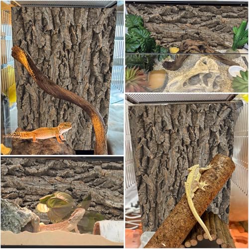 2PCS Reptile Background for Terrarium (【2 PCS】)