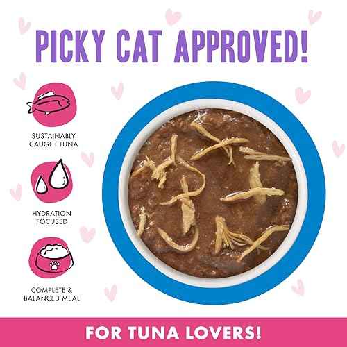 B.F.F. OMG Best Feline Friend Oh My Gravy! (2.8 Ounce (Pack of 12))