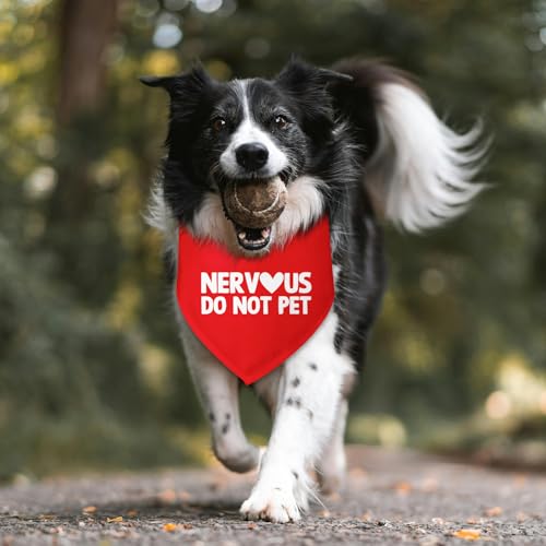 Nervous Do Not Pet Dog Bandana Service Bandana Service Dog in Training Funny Pet Accessories Shy Dogs Gift Nervous Anxious Scarf for Small Medium Dogs & Cats (N)