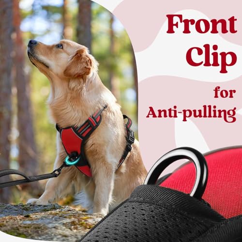 Dog Harness Small Sized (Small / Red)