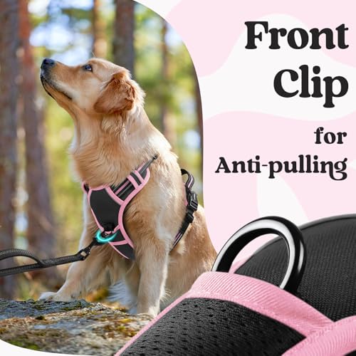 Dog Harness for Large (Black & Pink / Large)