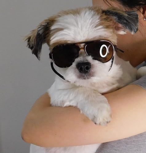G029 Dog Cat Pet Aviator Pilot Sunglasses Glasses for Small Breeds up to 15lbs (S, Up to 15lbs, 2-pack Black + Tortoise brown)