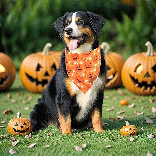 Halloween Dog Bandana (X-Large / Black & Orange)