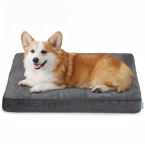 Waterproof Dog Bed for Medium Dog (Dark / 30"L x 20"W x 3"H)