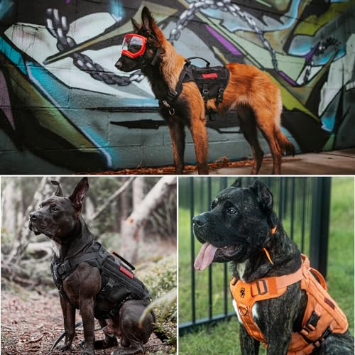 No Pull Dog Harness for Small Dog (Black / S)