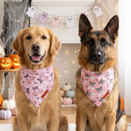 Halloween Dog Bandanas Girl (X-Large / Halloween-3)