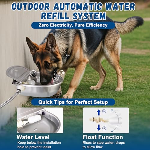 Automatic Chicken Waterer