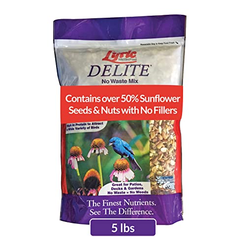 Delite Wild Bird Seed Shell (5 Pound (Pack of 1))
