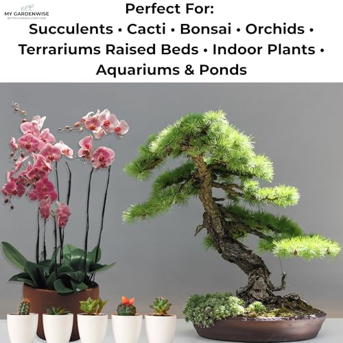 Lava Rocks for Plants (Black Lava Rocks / 5 qt)