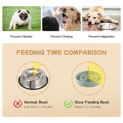 Elevated Slow Feeder Dog Bowls (Light Green)