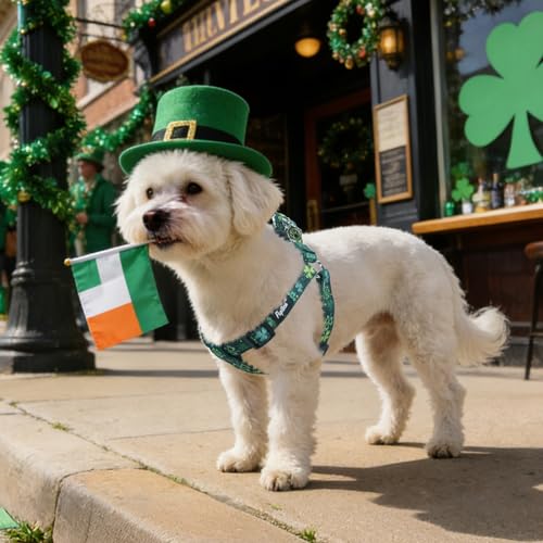 No Pull Dog Harness Small Sized Step (Green(St. Patrick) / Small)