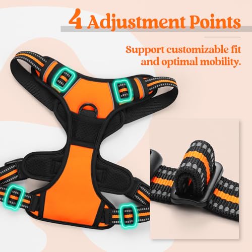 Dog Harness No Pull for Large Dogs with 2 Leash Clips (Large / Orange)