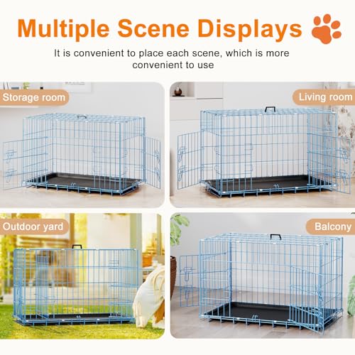 30" Foldable Metal Dog Crate (Blue)