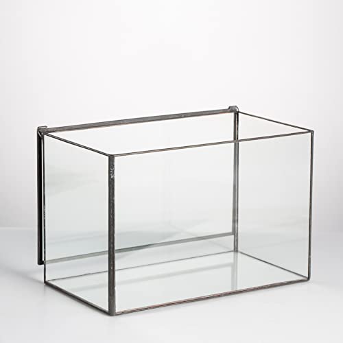 Small Glass Terrarium Planter with Lid (Black / 17x10x12cm)