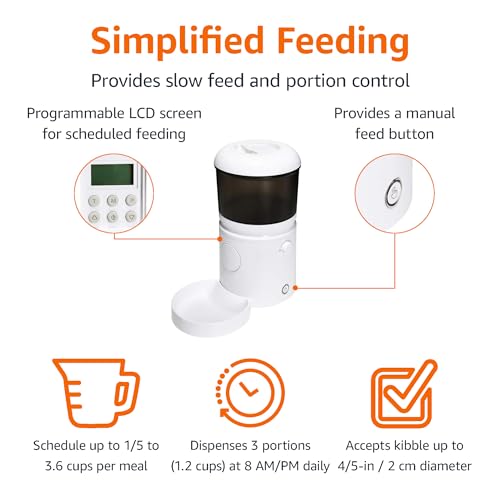 Automatic Cat Feeder with Programmable Voice Recorder