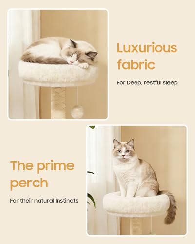 Cat Tree 34.3 Inches Cat Tower with Scratching Post (Beige)