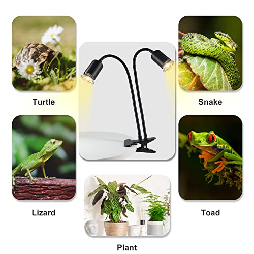 Reptile Heat Lamp