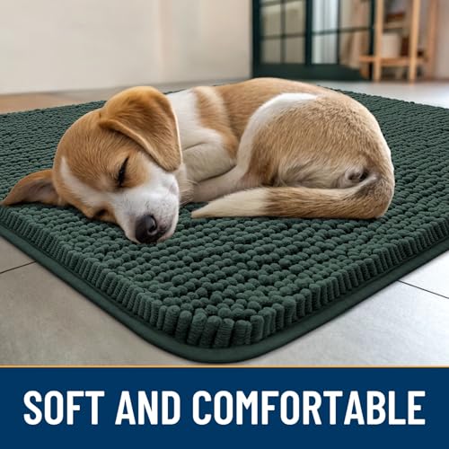 Dog Door Mat for Muddy Paws 30x20 (Green / 30"X20")
