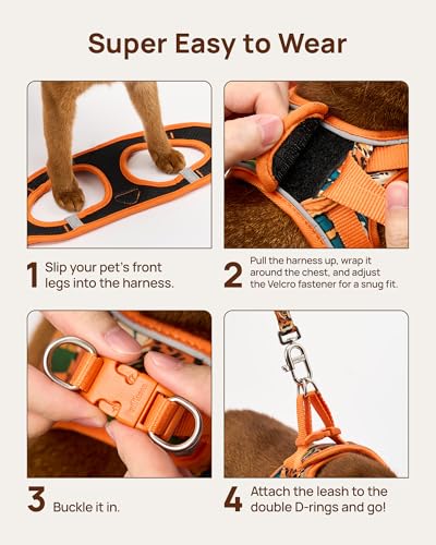 Upgraded Cat Harness and Leash Set (Orange King of The Jungle / S)