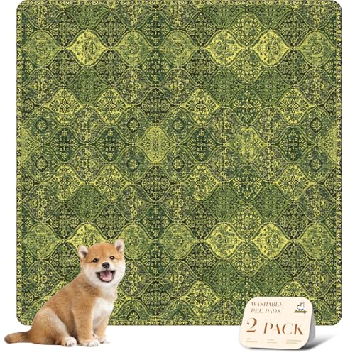Washable Pee Pads for Dogs (48x48 Inch (Pack of 2) / Green/Multi)