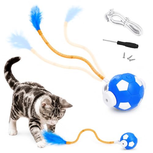 Cat Enrichment Toy (C -Blue)
