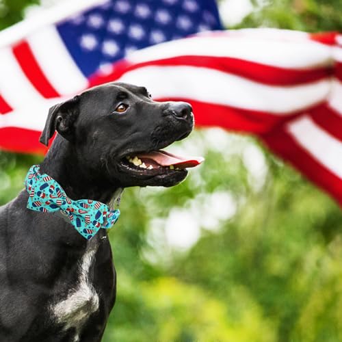 Independence Dog Collar (Flag Popsicle / Large (Pack of 1))