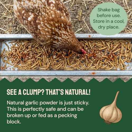 10lb Dried Mealworms with Digestive Spice Mix for Chickens (10 Pound (Pack of 1))
