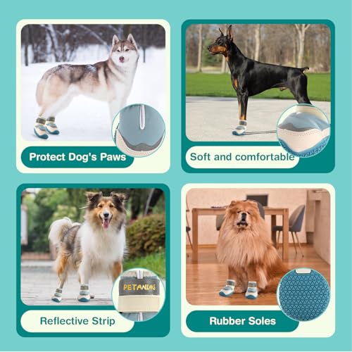 Dog Shoes for Small Dogs (Blue / Width 1.37 inches)