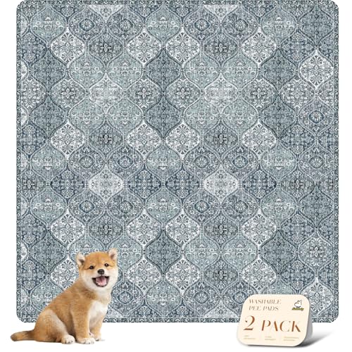 Washable Pee Pads for Dogs (54x54 Inch (Pack of 2) / Blue/Multi)