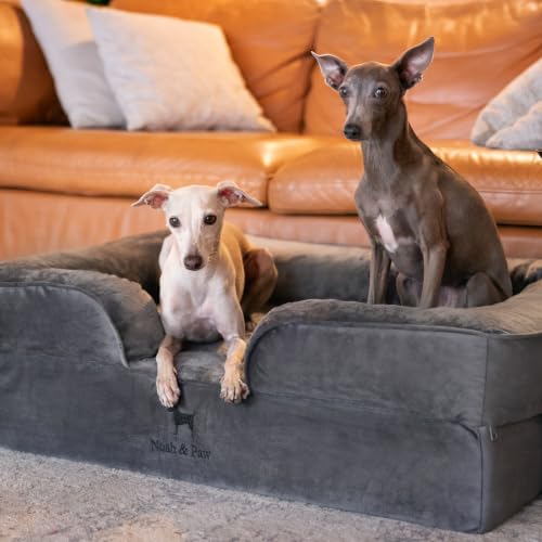 Dog Bed Orthopedic Memory Cooling Foam (Grey - VE / Medium)