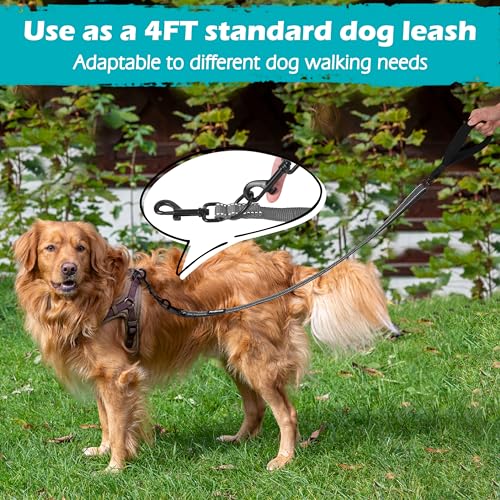 Two Point Control Dog Leash (Grey)