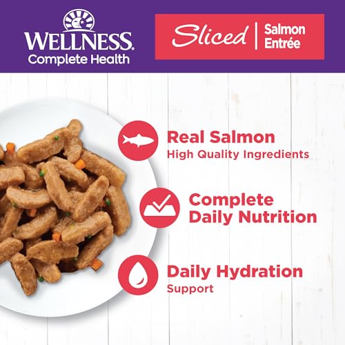 Complete Health Sliced Adult Wet Cat Food (3 Ounce (Pack of 24))
