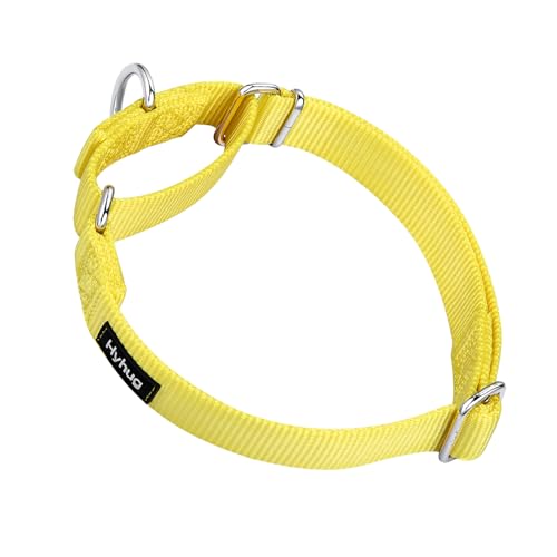 Martingale Collar for Dogs (Large / Illuminating Yellow)