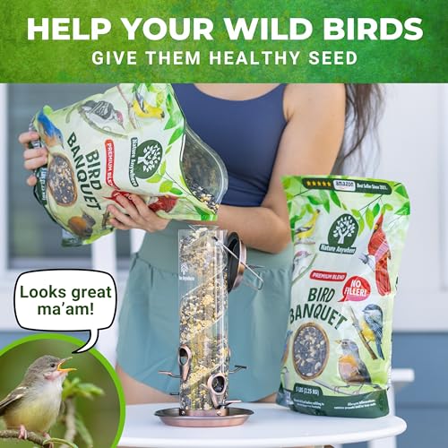 Bird Seed Bird Banquet Bird Seed for Outside Feeders (5 Pound (Pack of 1))