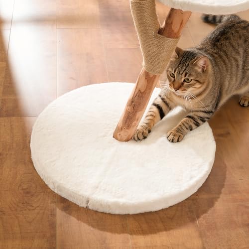 2 Tier Cat Tree for Kittens & Small Cats (White / Small 2-Tier)