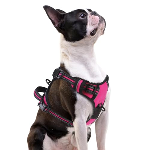No Pull Dog Harness Small Sized (Fuschia / Small)