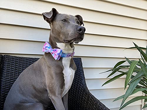 Dog Collar with Bow (Colorful / X-Large (Pack of 1))