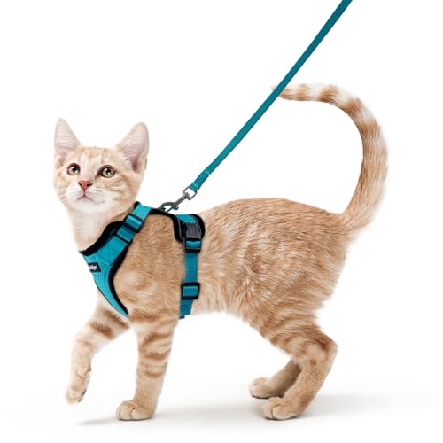 Cat Harness and Leash Set (S / Teal)