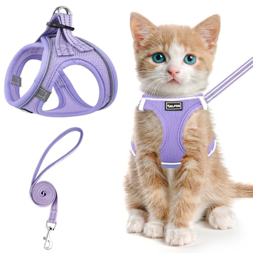 Cat Harness and Leash for Walking Escape Proof (L / Purple)