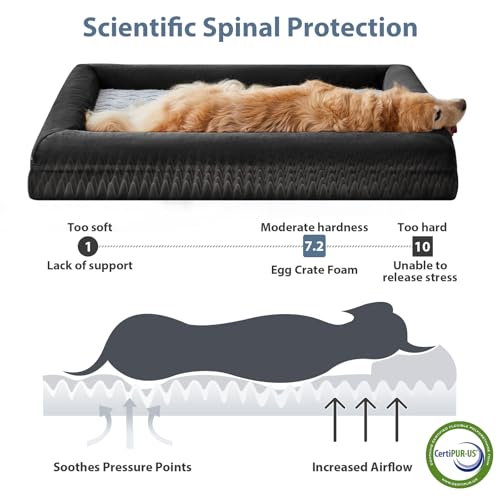XL Extra Large Orthopedic for Senior Dog Bed Comfy Sleeping (Black / X-L (41x28x7in))