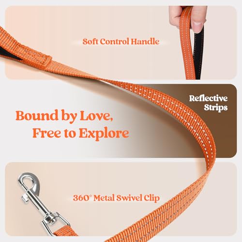 Dog Harness Small Sized and Leash Set (Orange / Xs (chest: 13.3 - 15.5"))