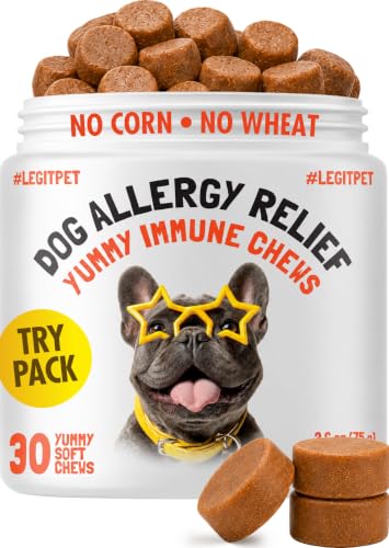 Allergy Relief Chews for Dogs & Immune & Digestive Supplement with Wild Salmon Oil Kelp Colostrum Turmeric Probiotics & Bee Pollen for Seasonal Allergies Anti Itch (Allergy / 30)