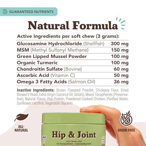 Hip & Joint Chews for Dogs (90 Count / Hip and Joint)