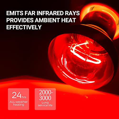 75W Reptile Heat Lamp Bulb (Day & Night Heat Lamp)